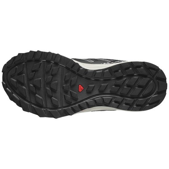 Salomon XA PRO Wander W
